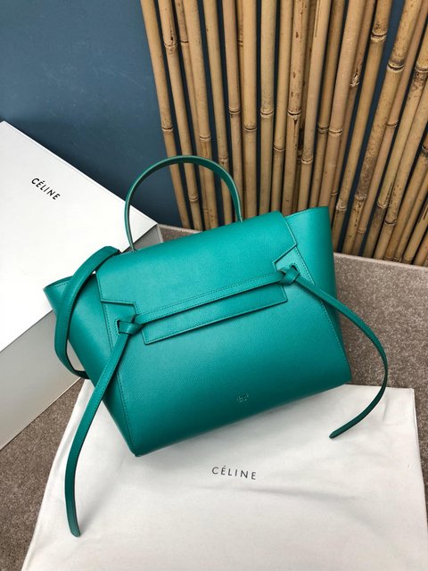 Celine 189103 green